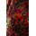 product color